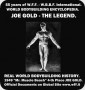 GOLD_joe_3m.jpg